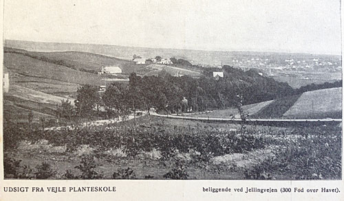 Postkort fra Onkel S&aelig;rmarks planteskole p&aring; Uhre Bakke