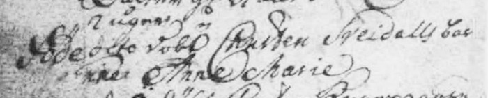 KB Ringkøbing, Ulfborg, Sønder Nissum: 1684-1771, opslag 294